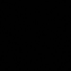 Meet your Posher, Bryanna